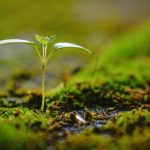 Small Wins, Big Growth